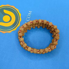 5 Mukhi Rudraksha Bracelet