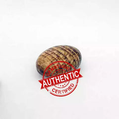 Aragonite Healing Crystal Palm Stone