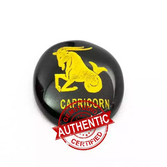 Capricorn Zodiac Sign Coin