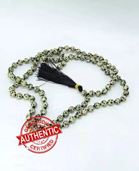 Dalmatian Jasper Mala