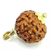 Eight Mukhi Rudraksha Indonesia