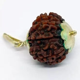 Eleven Mukhi Premium Rare Rudraksha