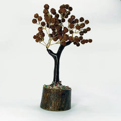 Five Mukhi indonesian Rudraksha Tree