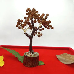 Five Mukhi Indonesian Rudraksha Tree Small
