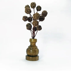 Five Mukhi Nepali Rudraksha Tree Small