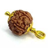 Five Mukhi Rudraksha Indonesia