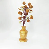 Five Mukhi Rudraksha Tree With Kaudi and Gomti Chakra