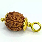 Four Mukhi Rudraksha Indonesia