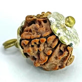 Ganesh Rudraksha Nepal