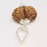 Gauri Shankar Rudraksha Indonesia