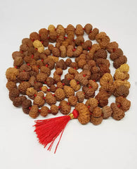 Gauri Shankar Rudraksha Mala - Indonesia