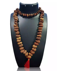 Gauri Shankar Rudraksha Mala - Indonesia