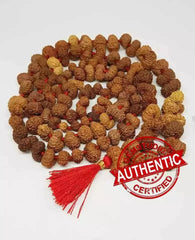 Gauri Shankar Rudraksha Mala - Indonesia