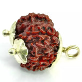 Gauri Shankar Rudraksha Nepal
