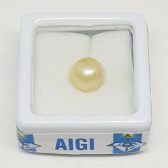 Golden Pearl Gemstone - 4.89 Carat