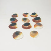 Gomti Chakra for Evil Eye