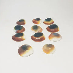 Gomti Chakra for Evil Eye