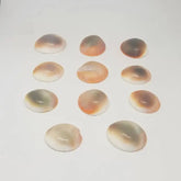 Gomti Chakra for Money