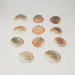 Gomti Chakra for Money