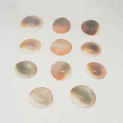 Gomti Chakra for Money