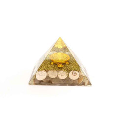 Gomti Chakra Orgone Pyramid with Tortoise
