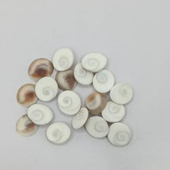 Gomti Chakra Premium Small