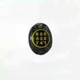 Larvikite Zibu Symbol Coin