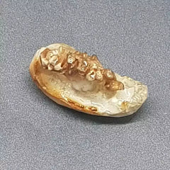 Natural Chandra Mani