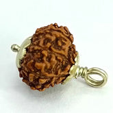 Nine Mukhi Rudraksha Indonesia