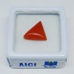 Red Coral Gemstone - 3.60 Carat