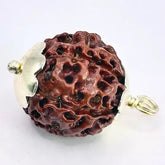 Six Mukhi Premium Rare Rudraksha