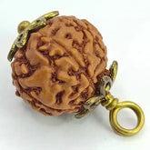 Six Mukhi Rudraksha Indonesia