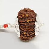 Sixteen Mukhi Nepali Rudraksha