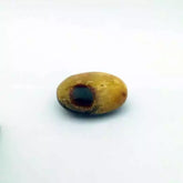 Spotted Jasper Healing Crystal Palm Stone