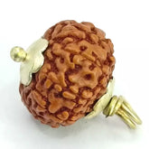 Ten Mukhi Rudraksha Indonesia
