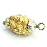 Three Mukhi Premium Rare Rudraksha