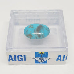 Turquoise Gemstone - 15.35 Carat