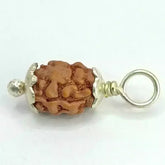 Two Mukhi Premium Rare Rudraksha