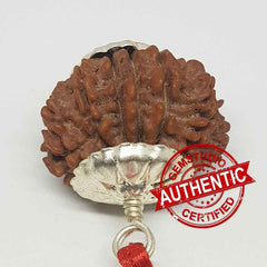 14 Faced Rudraksha Nepal
