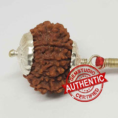 15 Faced Rudraksha Nepal