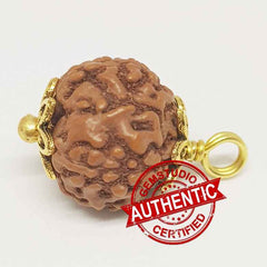 5 Mukhi Rudraksha Indonesia