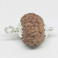8 Mukhi Rudraksha Indonesia