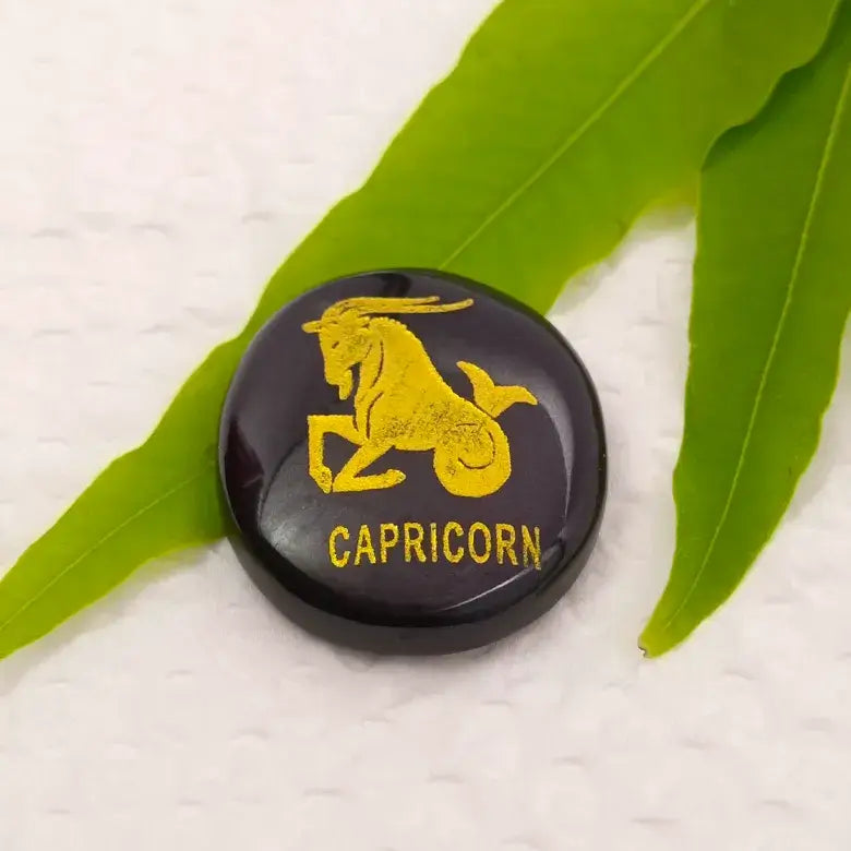 Capricorn Zodiac Sign Coin