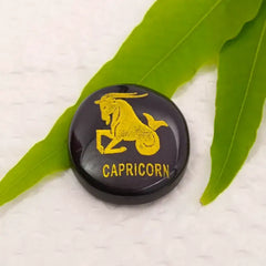 Capricorn Zodiac Sign Coin