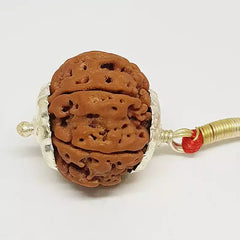 Eight Mukhi Nepali Rudraksha
