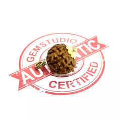 Eight Mukhi Rudraksha Indonesia