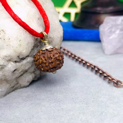 Eight Mukhi Rudraksha Indonesia