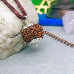 Eight Mukhi Rudraksha Nepal