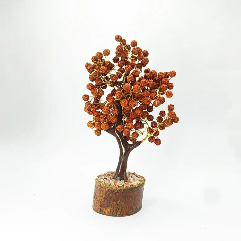 Five Mukhi Indonesian Rudraksha Tree Big