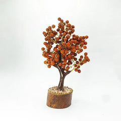 Five Mukhi Indonesian Rudraksha Tree Big